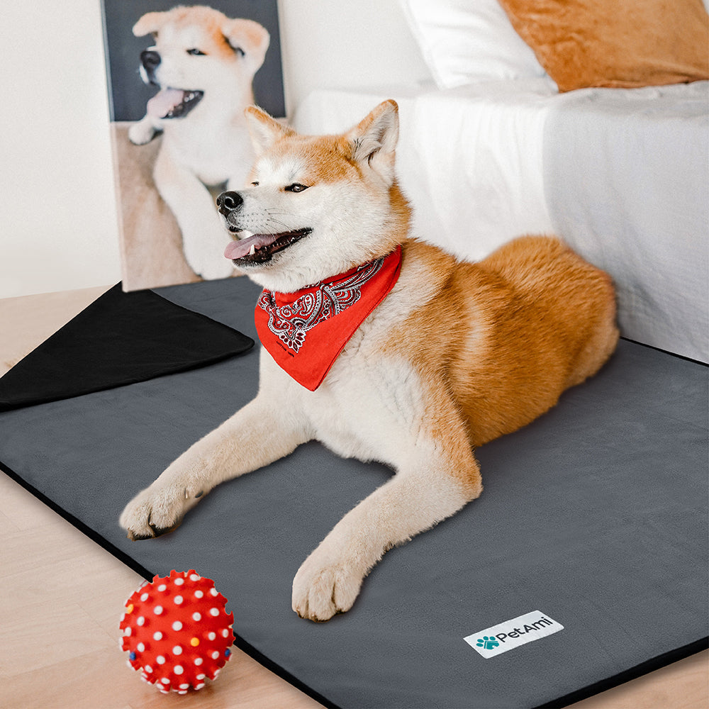 Couverture waterproof pour chien détail matière