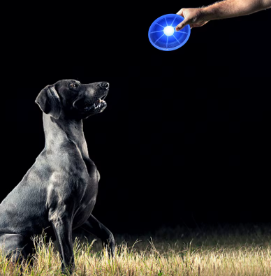 Frisbee lumineux pour chien utilisé la nuit