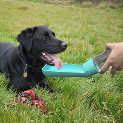 Gourde pour chien utilisée en promenade
