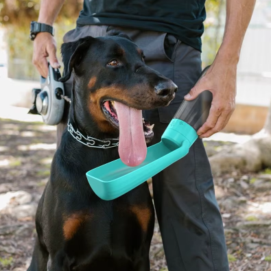 Gourde pour chien système anti-fuite