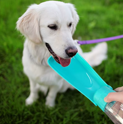 Gourde pour chien bouteille d'eau nomade