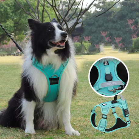 Harnais anti-traction pour chien porté en promenade