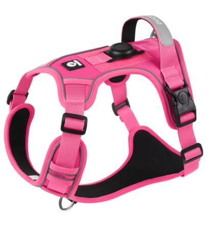 Harnais anti-traction pour chien coloris bleu