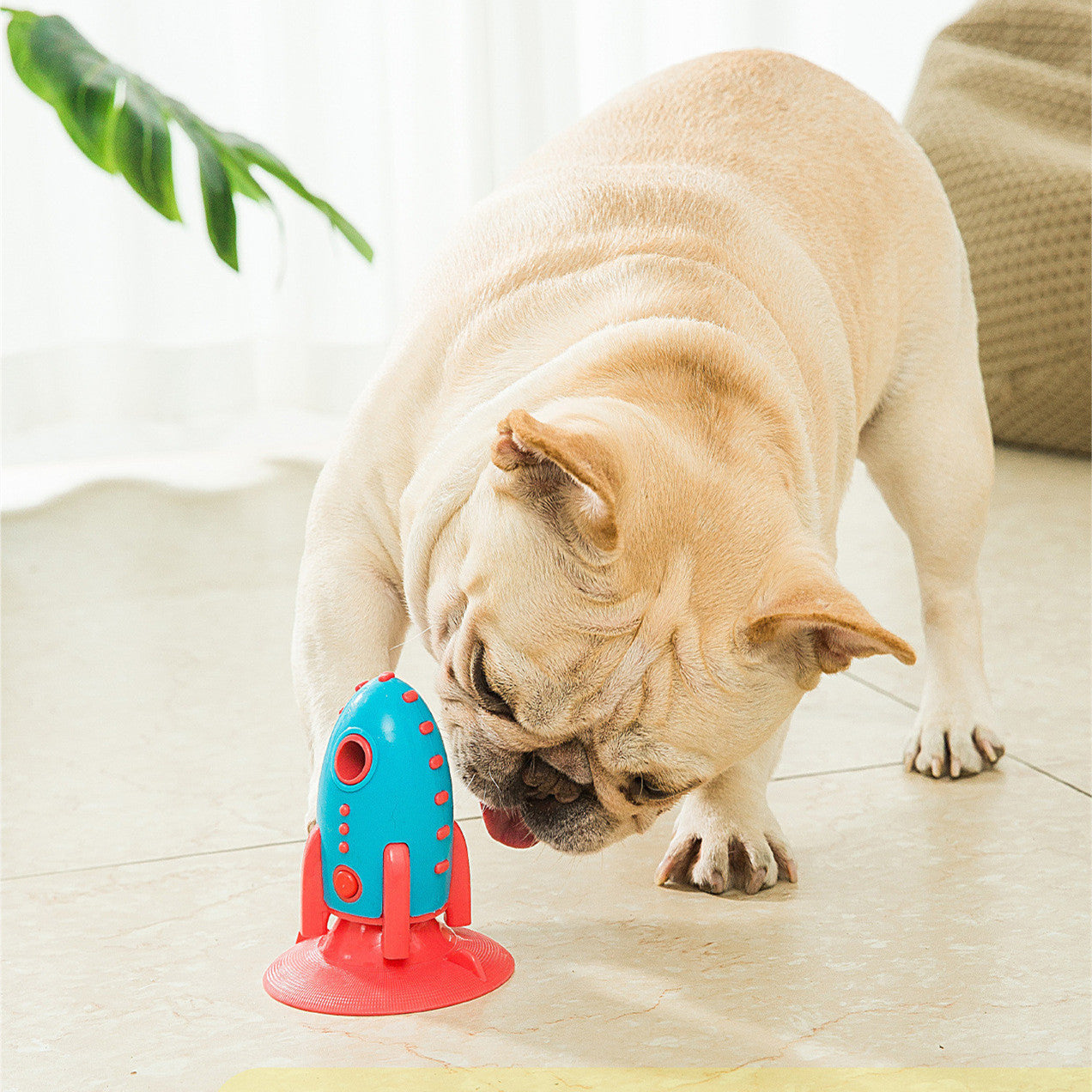 Jouet Rocket pour chien interactif résistant