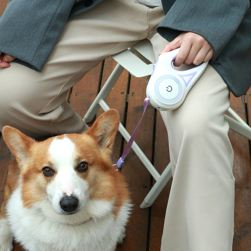 Laisse rétractable pour chien en promenade