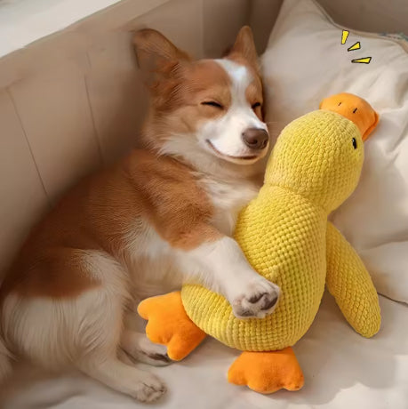 Peluche canard pour chien jouet doux
