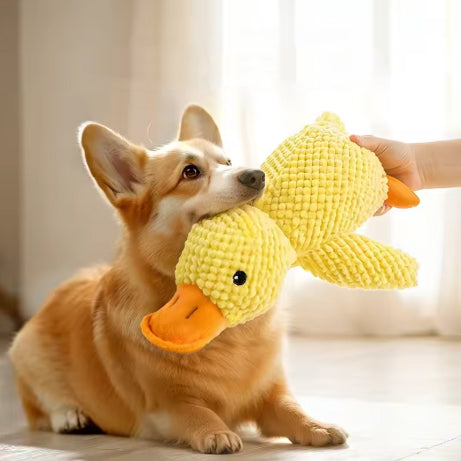 Peluche canard pour chien en train de jouer