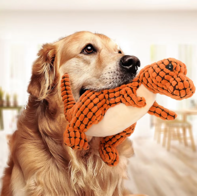 Peluche dinosaure pour chien jouet résistant